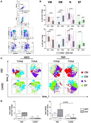 Distinct CD4−CD8− (Double-Negative) Memory T-Cell Subpopulations Are Associated With Indeterminate and Cardiac Clinical Forms of Chagas Disease